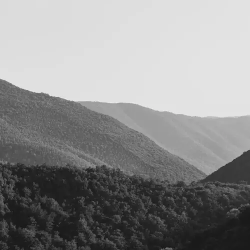 Easy Nature Photography